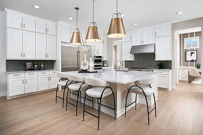 Richmond American Unveils Luxury Homes in Booming Castle Rock Market