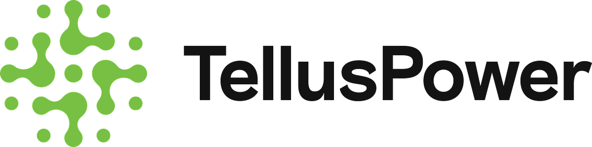 Influence & Infrastructure: Tellus Power’s Political Play for Europe