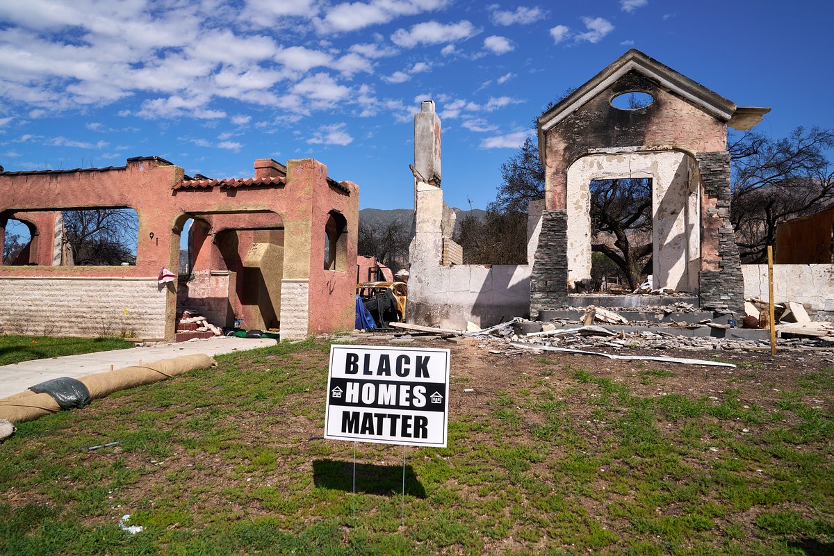 Stoller's $3M Gift Aims to Heal Fire Scars and Historical Injustices