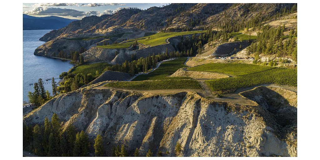Okanagan Ascends: Dreyfus Ashby Bets on BC's World-Class Wine Frontier
