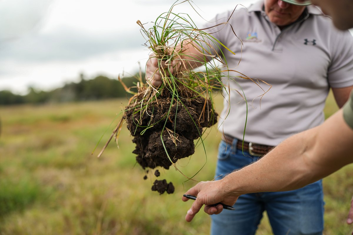 Ranching a Revolution: Soil Carbon Transforms American Grasslands