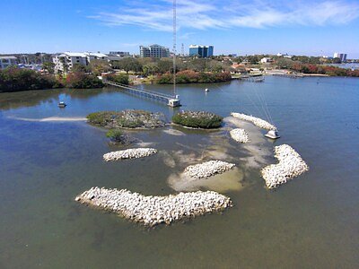 Bird Island Reborn: A Model for Rescuing Florida's Ailing Coast