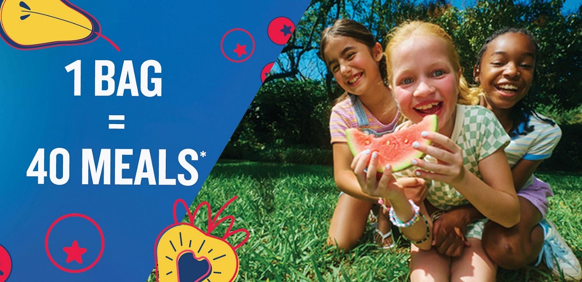 Beyond the Reusable Bag: Food Lion’s Strategic War on Summer Hunger
