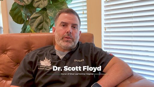 Decoding the Vet Bill: The Hidden Economics of Pet Healthcare in Oklahoma