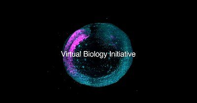 Biohub's $500M Push to Create a 'Virtual Cell' with AI