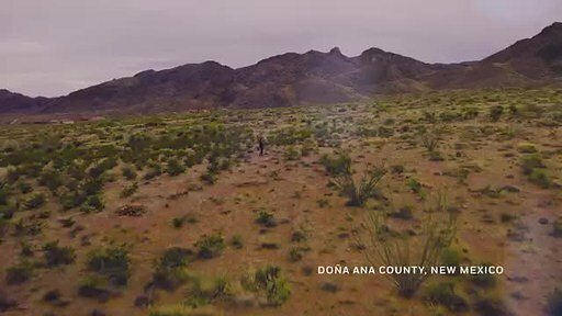 Oracle's High-Stakes Gamble in the New Mexico Desert