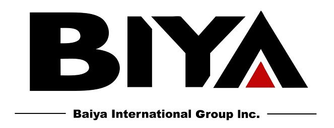 From HR to Crypto: Baiya's 'Ark Plan' is a High-Stakes Gamble