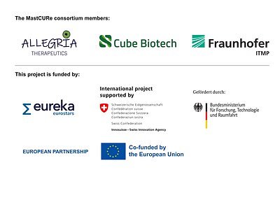 MastCURe Wins €1.3M to Develop Precision Therapy for Chronic Hives