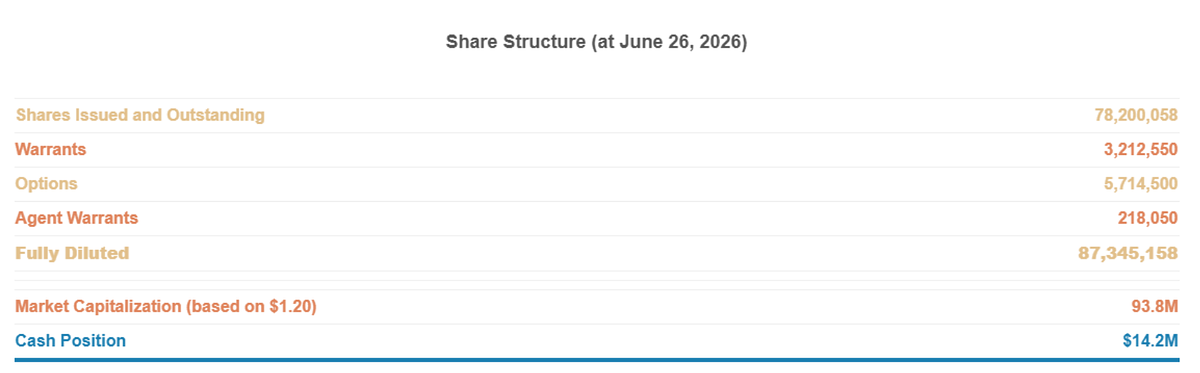 Forte Minerals: A Case Study in Capital Strategy and Exploration Focus