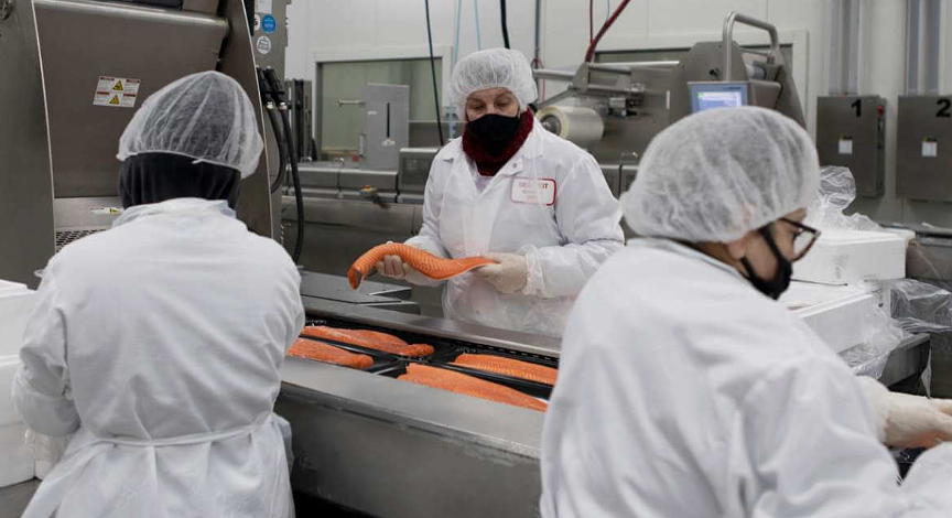 From Local Docks to Global Reach: BSF Rebrands for a Modern Era