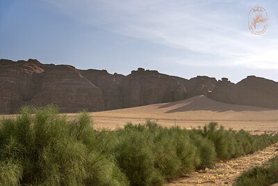 AlUla Peregrina: Ancient Desert Seed Aims to Redefine Global Beauty