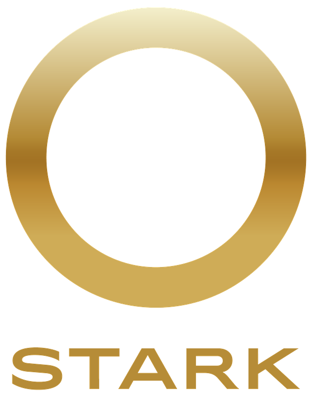 Stark Future's Electric Leap: Profitability Signals New Motorcycle Era