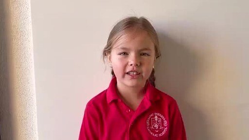 How Arizona Tax Dollars Fuel Private School Scholarships