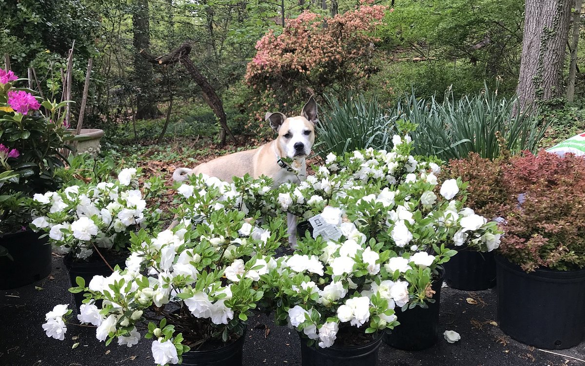 How Your Yard Can Add Up to 20% to Your Home's Sale Price