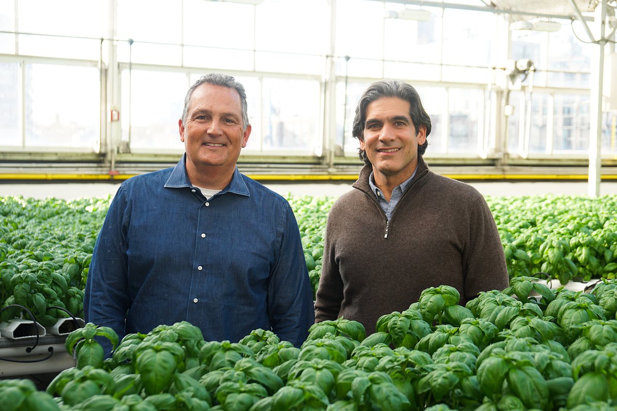 Gotham Greens at 15: New CEO Signals Bold Push Beyond Leafy Greens