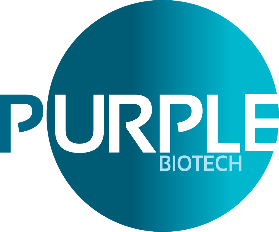 Purple Biotech's 'Capped' Antibody Shows Major Safety Leap in Cancer