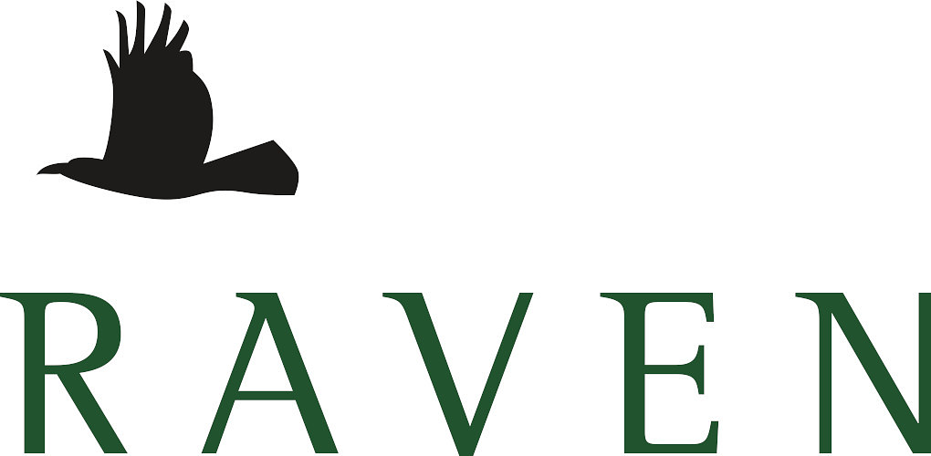 Raven's $655M Deal for Elevate Shows Private Credit's Unstoppable Rise