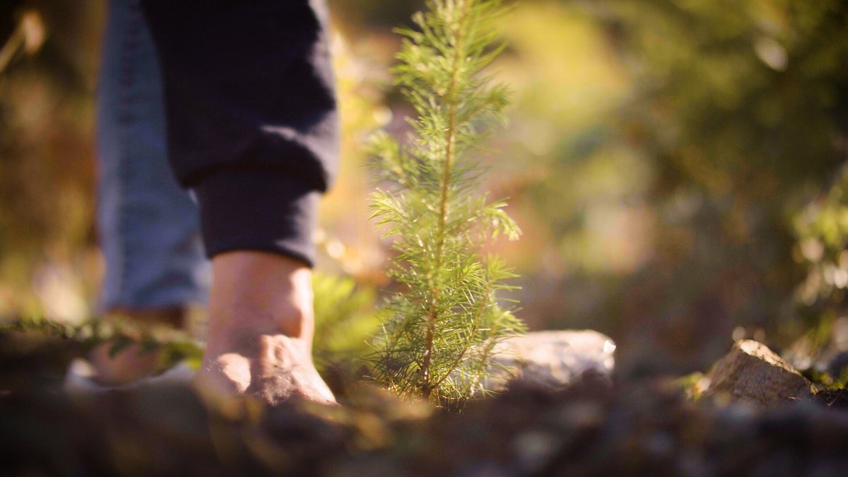 TELUS's Green Leap: Inside Its Rise on Global Sustainability Ranks