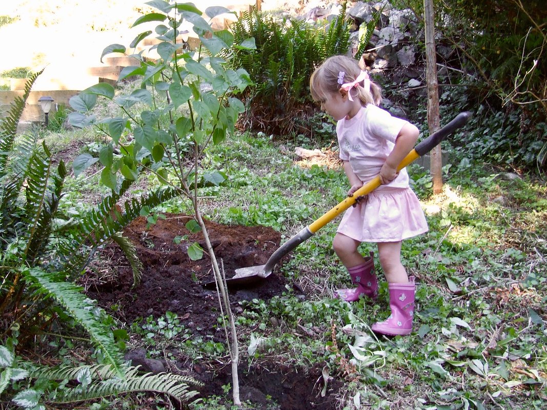 ChariTree Plants Hope in Malawi on 20th Earth Day Anniversary