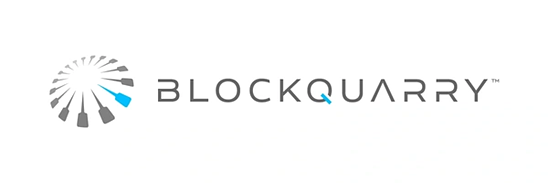 BlockQuarry's Digital Gambit: A Bid for U.S. Crypto Hardware Dominance?