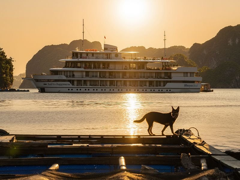 Bhaya Cruises Unveils All-Inclusive Luxury for a Sustainable Summer