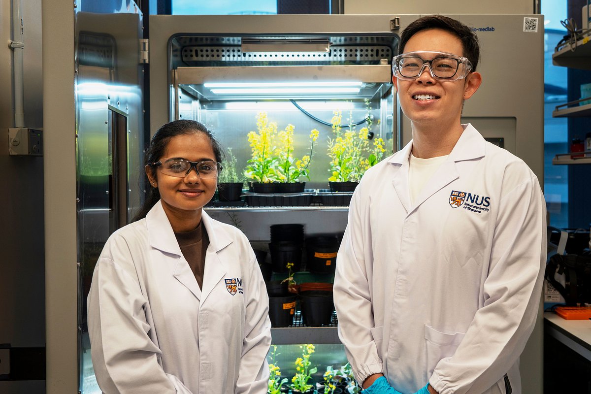 Agritech's Micro-Revolution: The Needle Boosting Luxury Produce