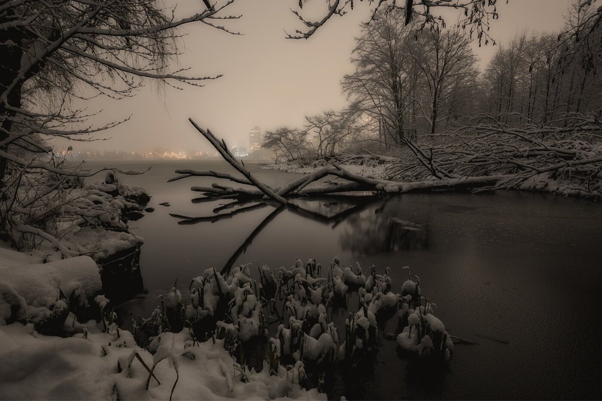 Data Over Drifts: How AI is Revolutionizing Winter Property Safety