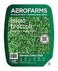 Vertical Farming's Second Act: How Patient Capital Rescues Agri-Tech's Promise
