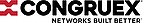 Congruex Taps Veteran CFO to Steer Through Digital Infrastructure Boom