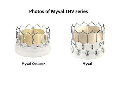 India's Meril Challenges Global Heart Valve Giants with Landmark Data