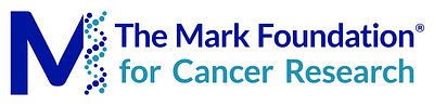 Mark Foundation Bets $4M on High-Risk Science to Bridge Cancer Drug Gap
