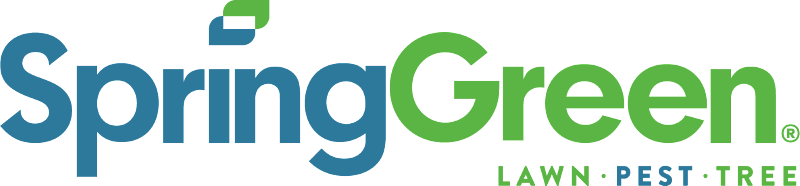 SpringGreen at 50: Seeding Future Growth with AI and Data