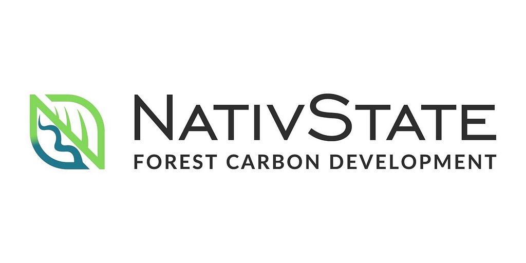 Carbon Meets Timber: How an Acquisition Is Reshaping Southern Forests