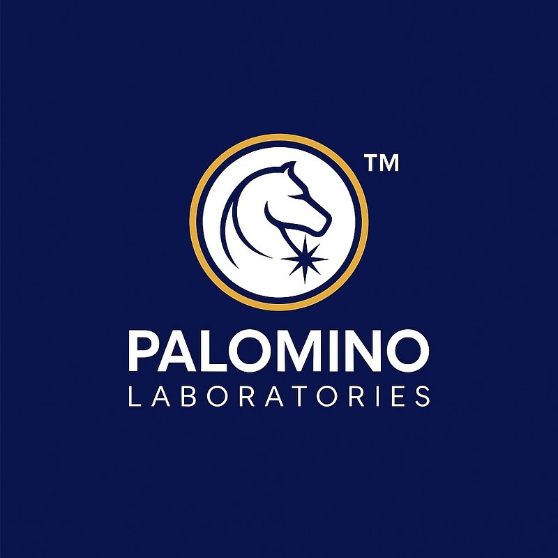 Palomino Labs Lands $15M to Power AI's Future with MicroLED Tech