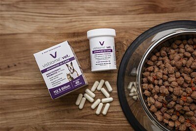 New Vets' Guide Elevates One Probiotic for Canine Gut Disease