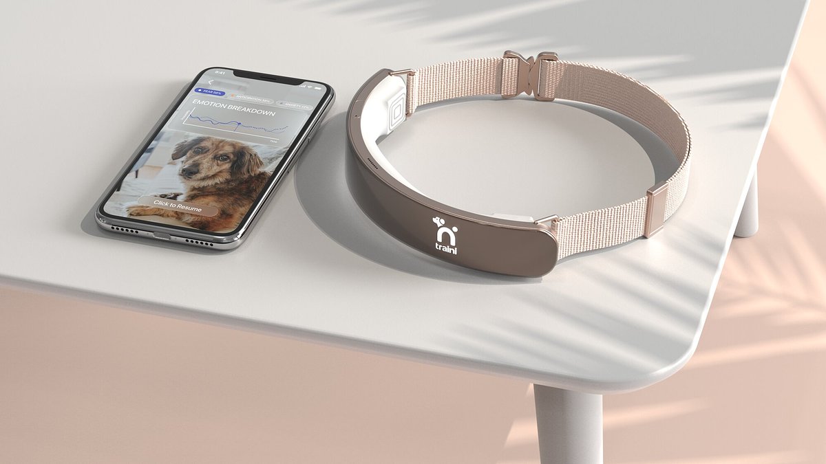 AI Decodes Your Dog: The Promise and Peril of Emotion-Sensing Collars