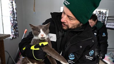 Horror in Delmar: Over 100 Cats Rescued from Icy Neglect
