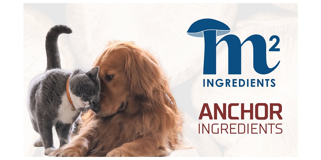 Mushroom Boom: How Fungi Are Reshaping Modern Pet Nutrition