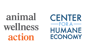 NY Faces Call to Ban Lead Ammo, Citing Wildlife and Health Risks