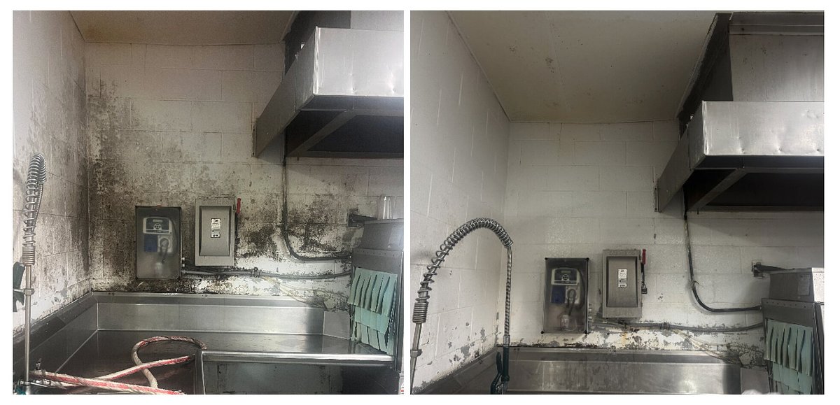 Jail's Cleaning Switch Slashes Infections, Offers Public Health Clues