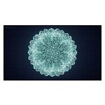 Beyond Probability: A New Framework to Rebuild Personalized Medicine