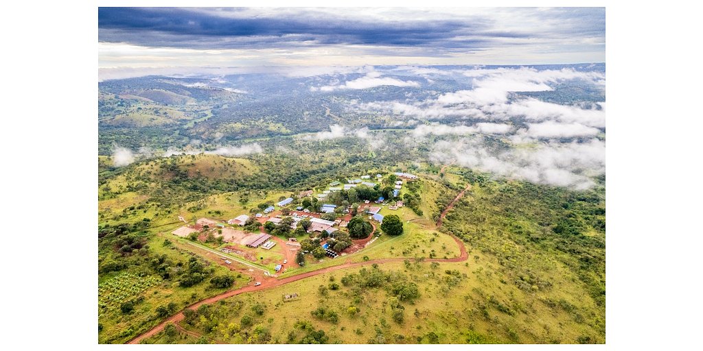 Lifezone's Kabanga Nickel: A Strategic Play in the New Green Economy