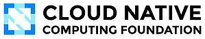 India's Cloud Native Surge Signals a New Global Tech Order