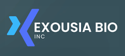 Exousia Bio's Gambit: An FDA Designation Transforms a Biotech Acquisition