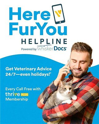 Thrive Pet Healthcare Enters Telehealth Race with 24/7 Helpline