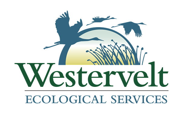 South Dakota's New Green Economy: Profit Meets Prairie Restoration