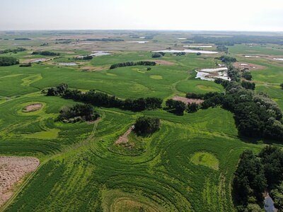 Conservation and Cattle: A New Era for Manitoba Farm Research