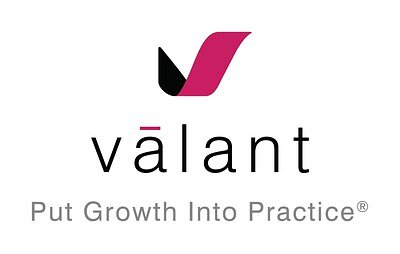 Valant's AI Tool Adapts to Clinicians to Ease Documentation Burden