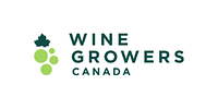 Canada's $10B Wine Industry Stifled by Internal Borders, Report Finds