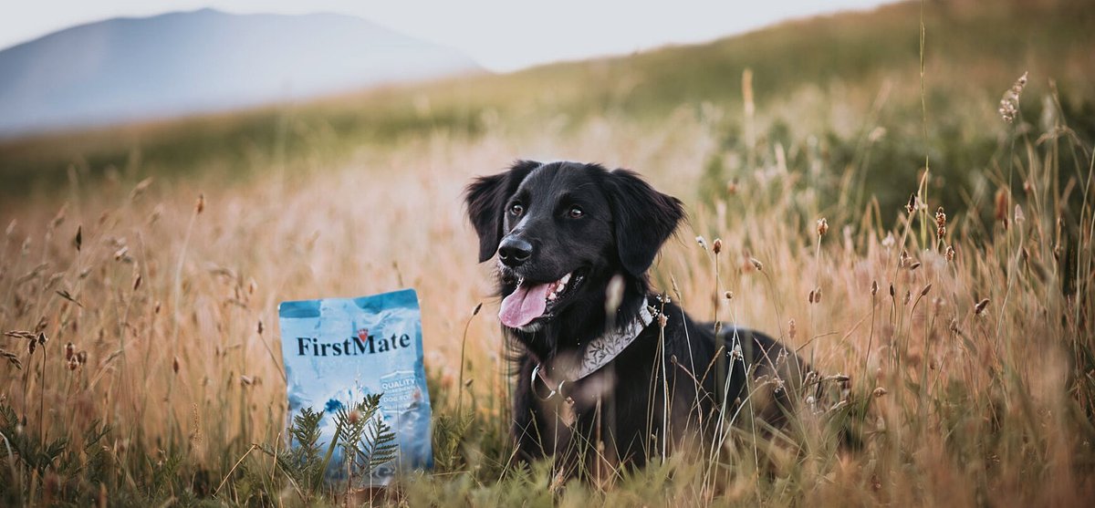 Nasta's Big Bite: French Firm Buys FirstMate in Premium Pet Food Play